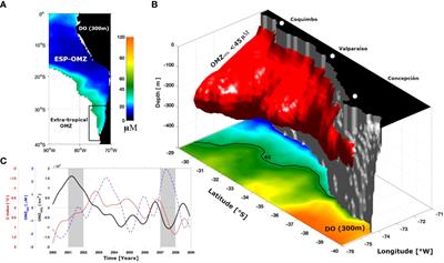 On the interpretation of changes in the subtropical oxygen minimum zone volume off Chile during two La Niña events (2001 and 2007)